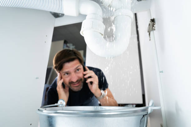 Best Plumbing Inspection Services  in Paulden, AZ